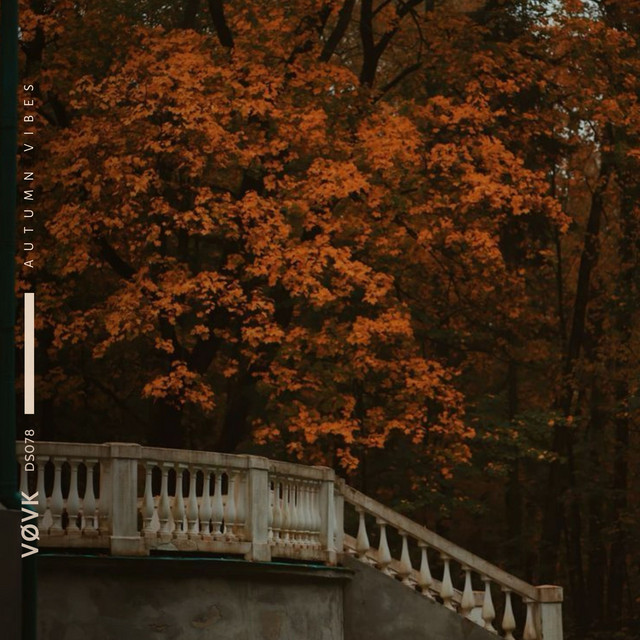 Обкладинка: autumn vibes — VØVK