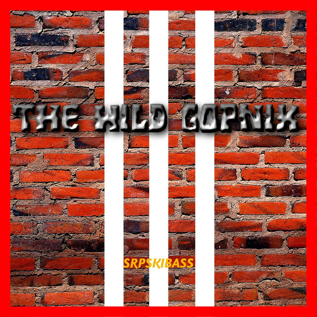 The Wild Gopnik cover