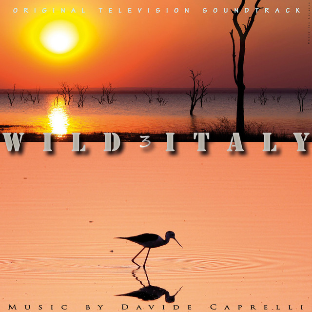 WILD ITALY 3 (Original Television Series Soundtrack) cover art