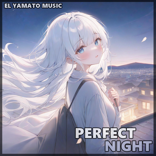 PERFECT NIGHT cover art