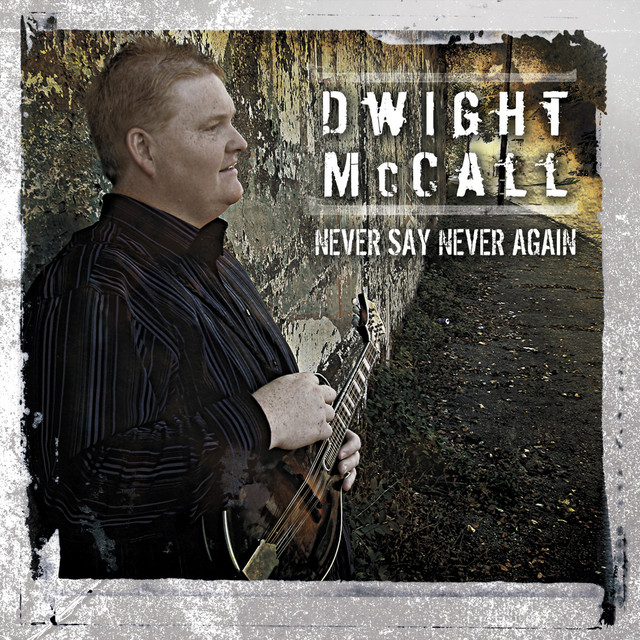 Never Say Never Again cover art