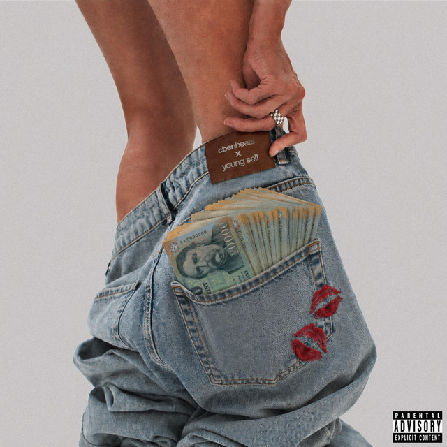 Pockets Pregnant