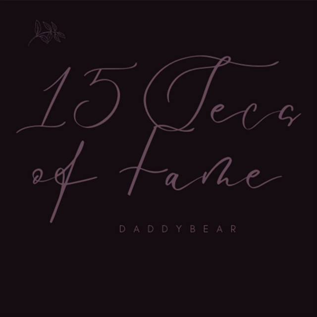 15 Secs of Fame cover