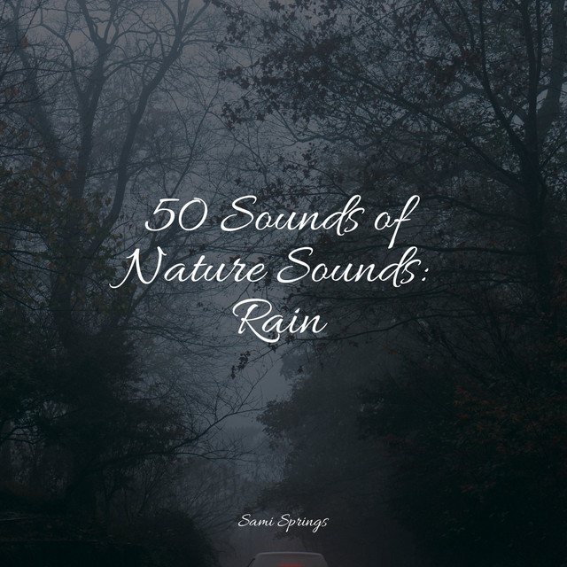 50 Sounds of Nature Sounds: Rain - Album by Relaxing Music | Spotify