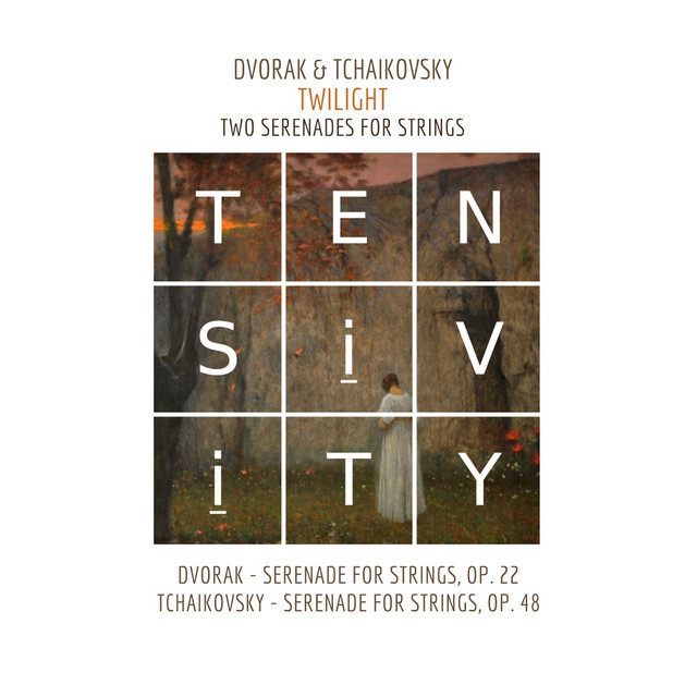 Serenade for Strings in E major, Op. 22: II. Tempo di Valse