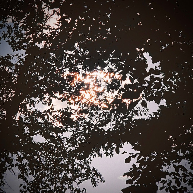 Camping Music cover