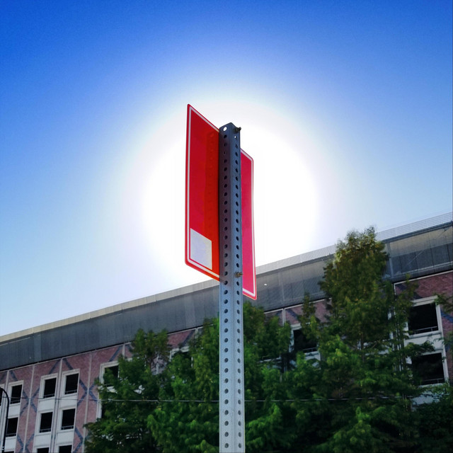 Sunshine cover art
