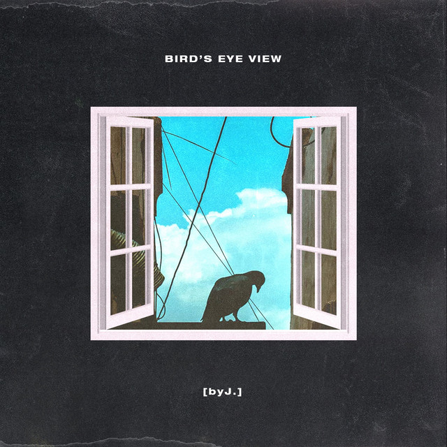 Bird's Eye View cover art