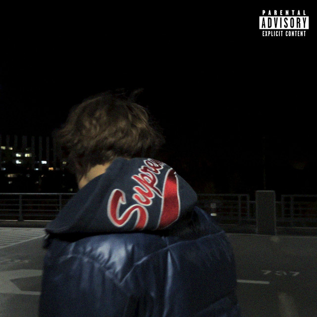PLIK cover art