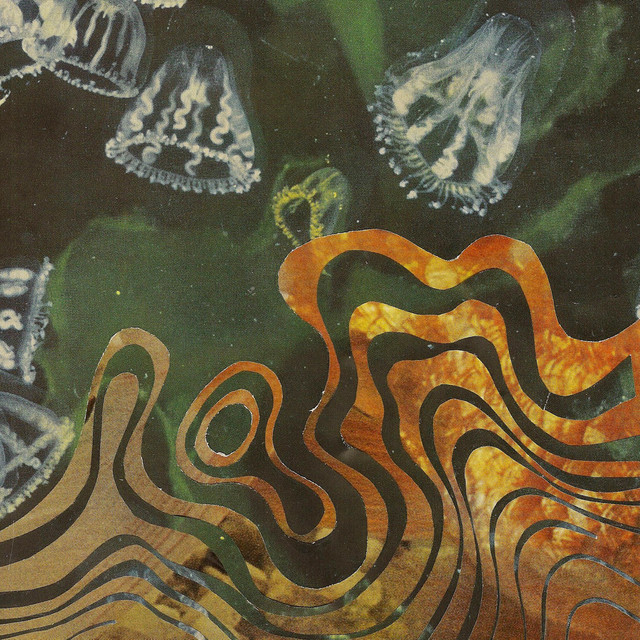 Sea Creatures cover art