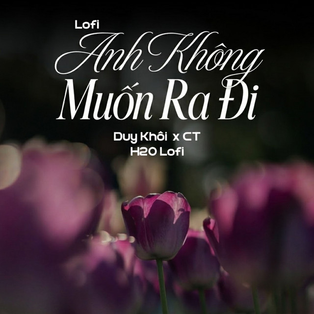 Anh Không Muốn Ra Đi (Lofi)