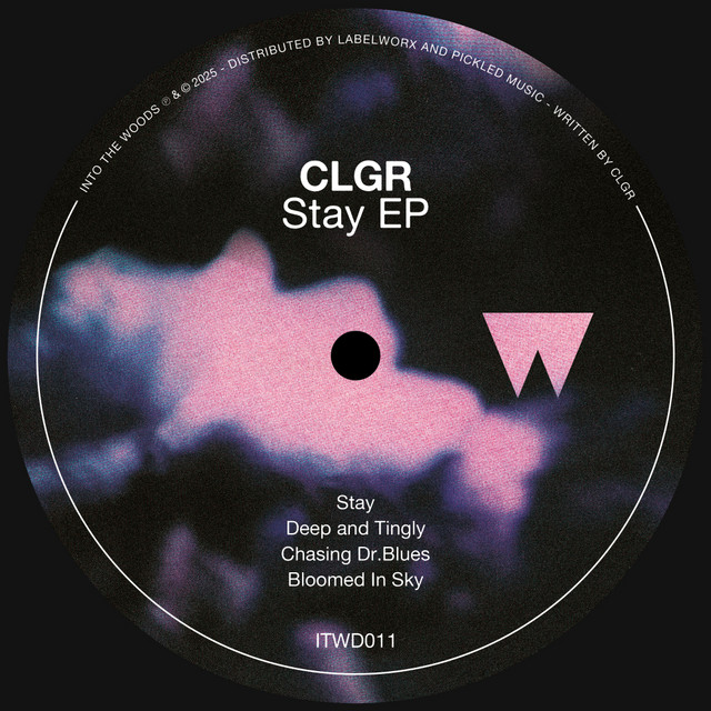 Stay album art