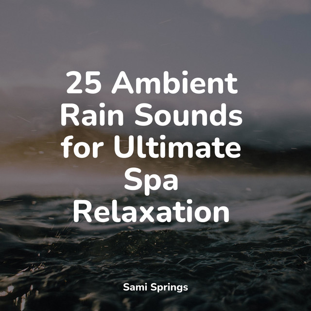 25 Ambient Rain Sounds for Ultimate Spa Relaxation - Album by White ...