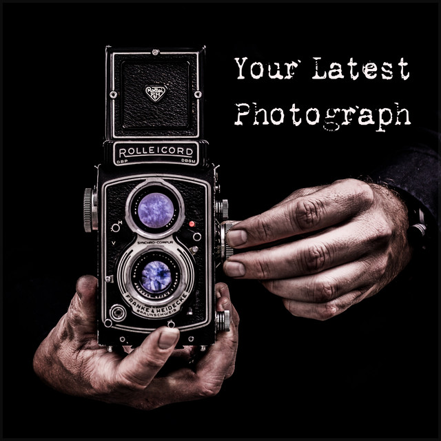 Your Latest Photograph - Compilation by Various Artists | Spotify