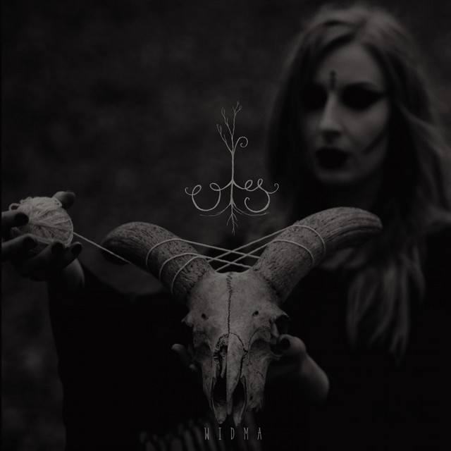 Widma cover art