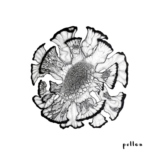 Pollen cover art
