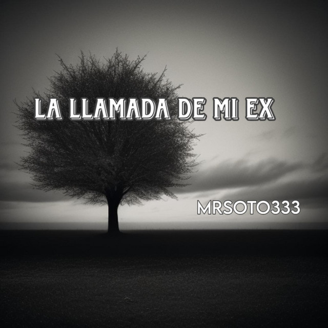 MrSoto333