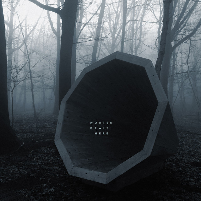 Here cover art