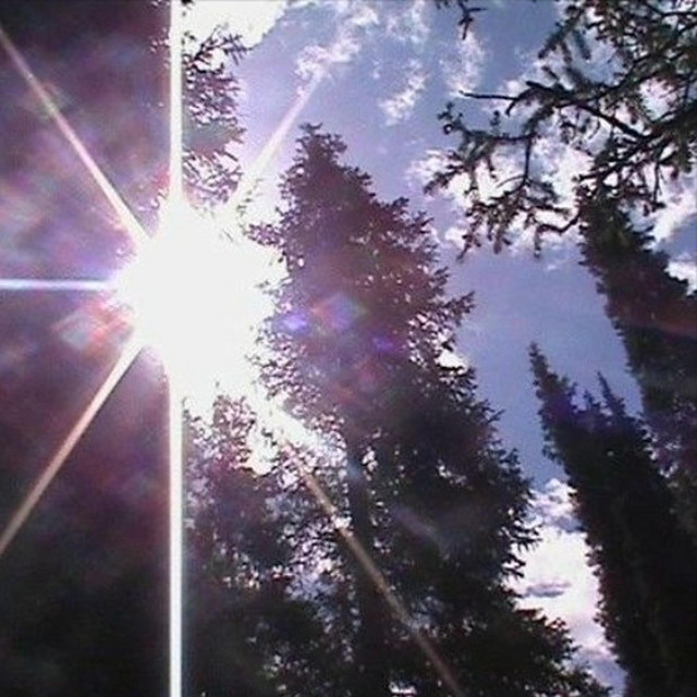 sum1else cover art
