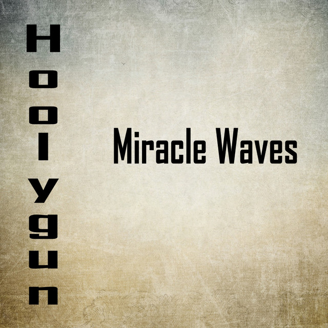 Hoolygun cover art