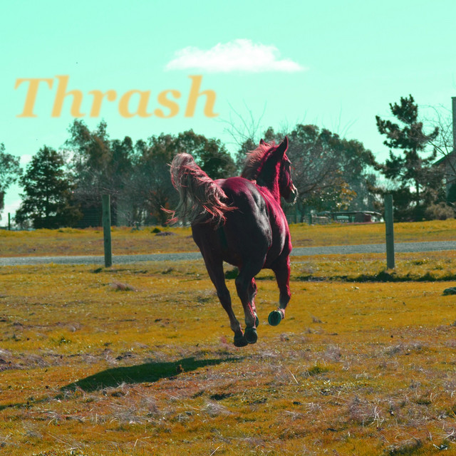 Thrash cover art