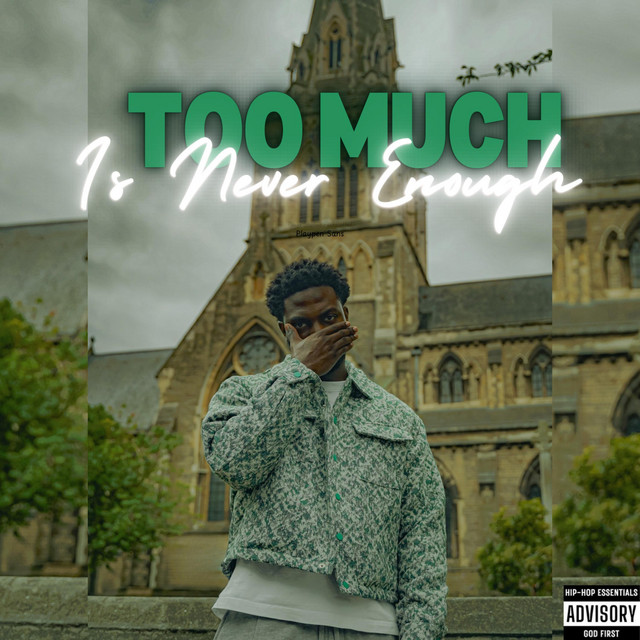 Too Much Is Never Enough cover art