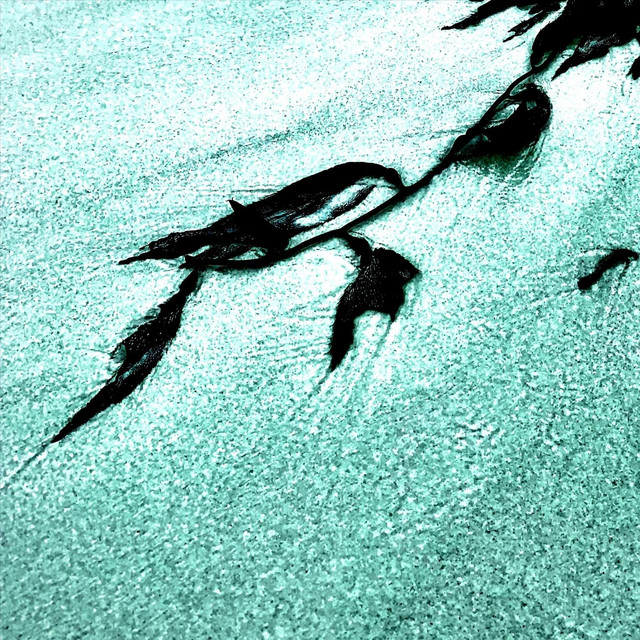 Flood cover art
