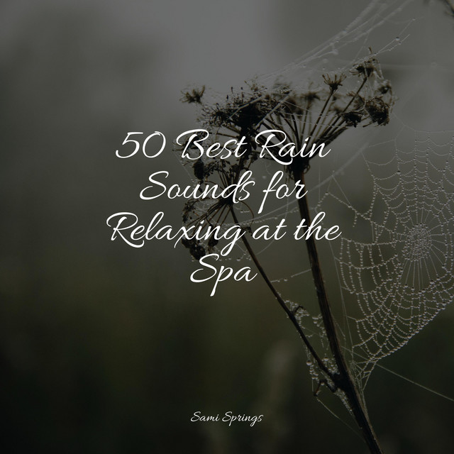 50 Best Rain Sounds for Relaxing at the Spa - Album by Loopable Rain ...