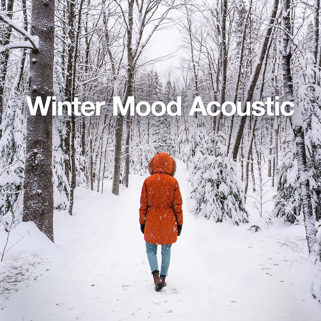 Winter Mood Acoustic - Compilation by Various Artists | Spotify