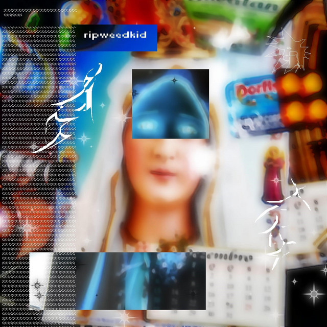r.i.p weedkid cover art