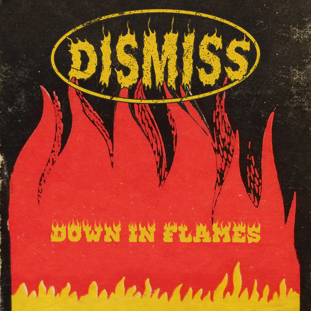Down In Flames cover art