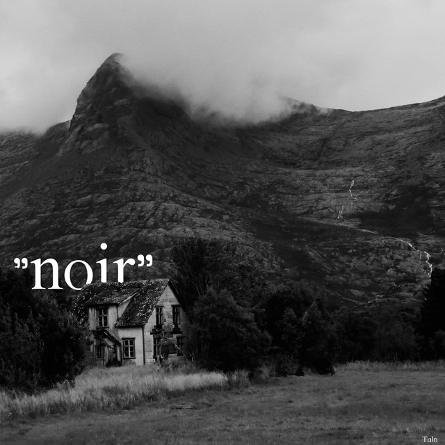 "noir" cover art