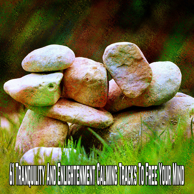 61 Tranquility And Enlightenment Calming Tracks To Free Your Mind cover art