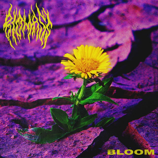 Bloom cover art
