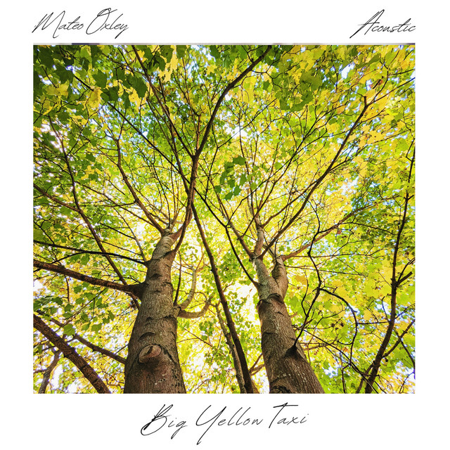 Big Yellow Taxi - Acoustic
