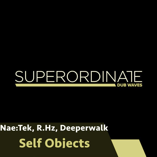 Cover art for Deeperwalk — Self Objects