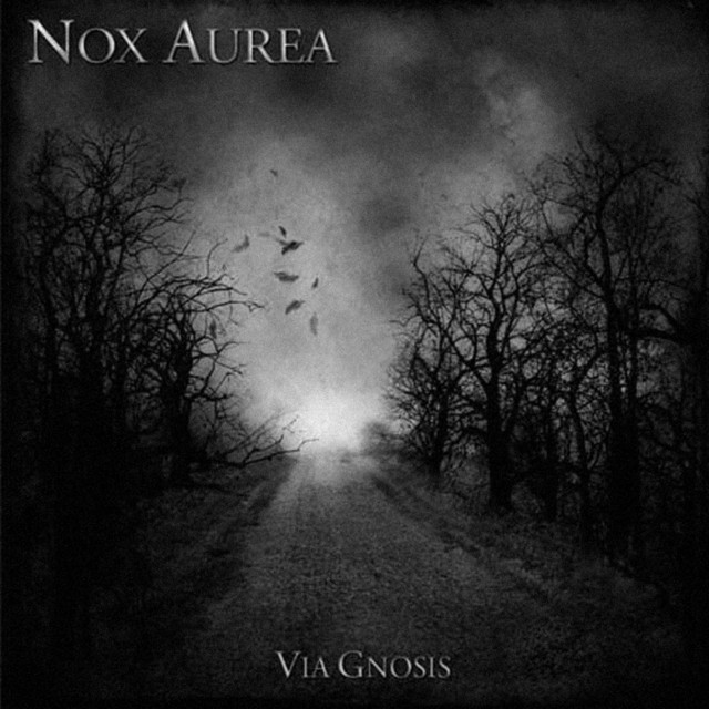 Nox Aurea photo