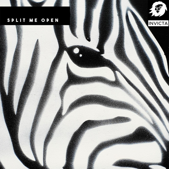 Split Me Open cover art