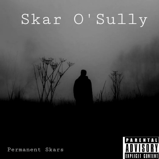 Permanent Skars cover art