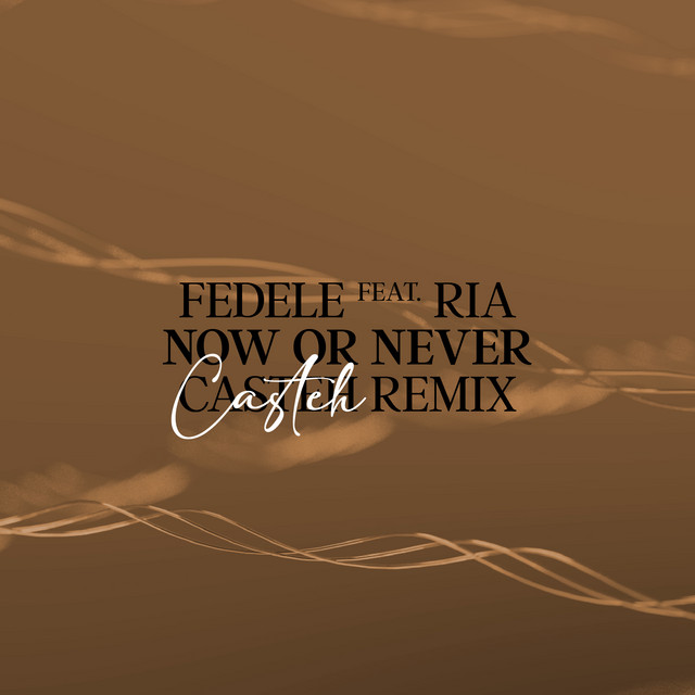 Now Or Never (Casteh Remix) album image