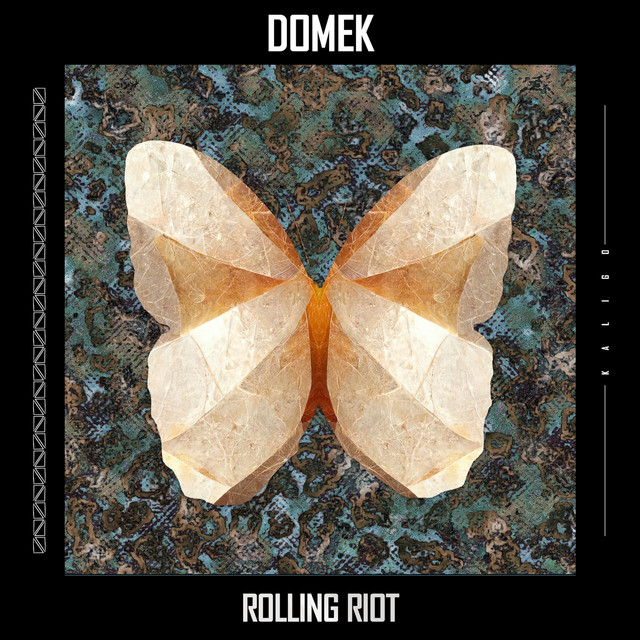 Rolling Riot album art