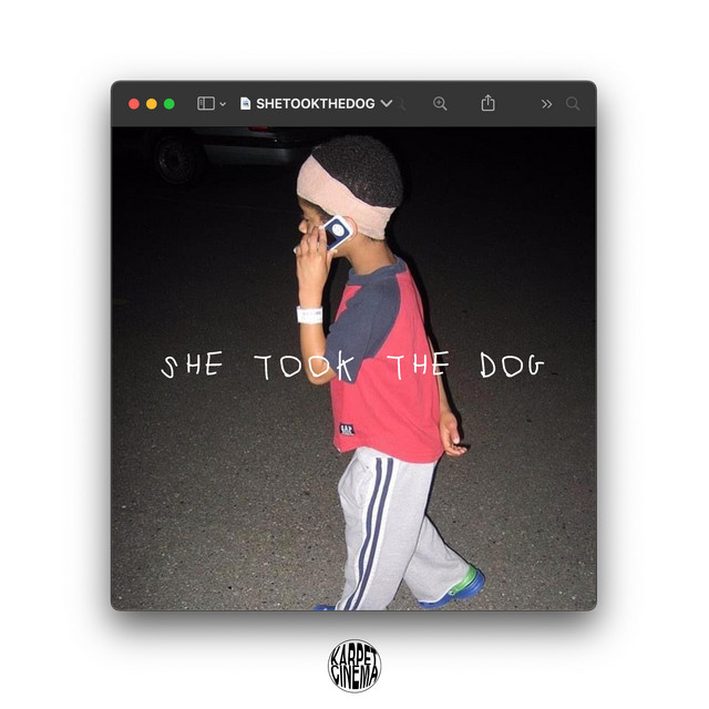 SheTookTheDog cover art