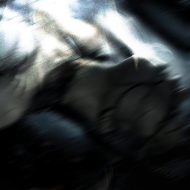 Vacuité cover art