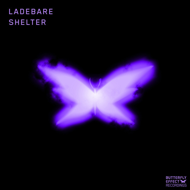 Shelter - Extended Mix album art