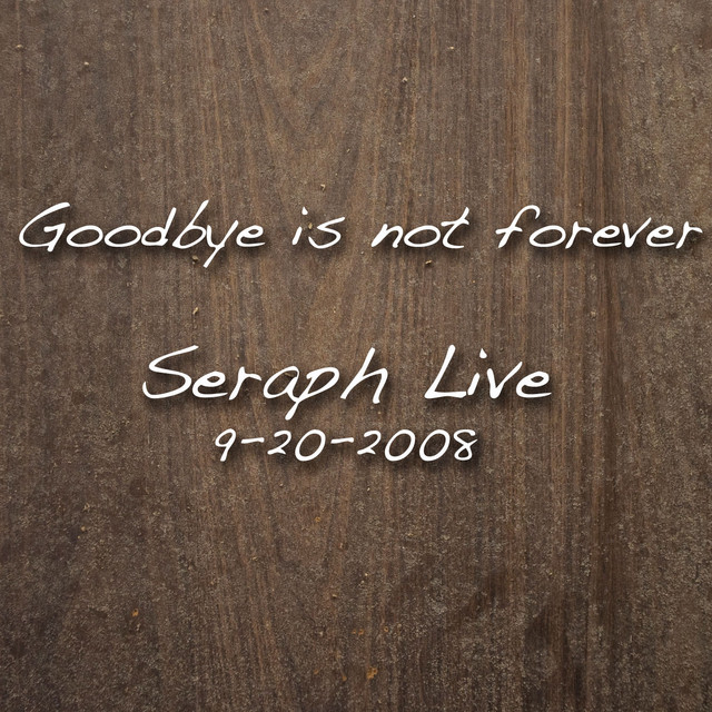 Goodbye Is Not Forever cover art