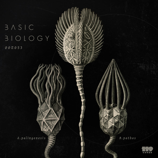 Palingenesis album art