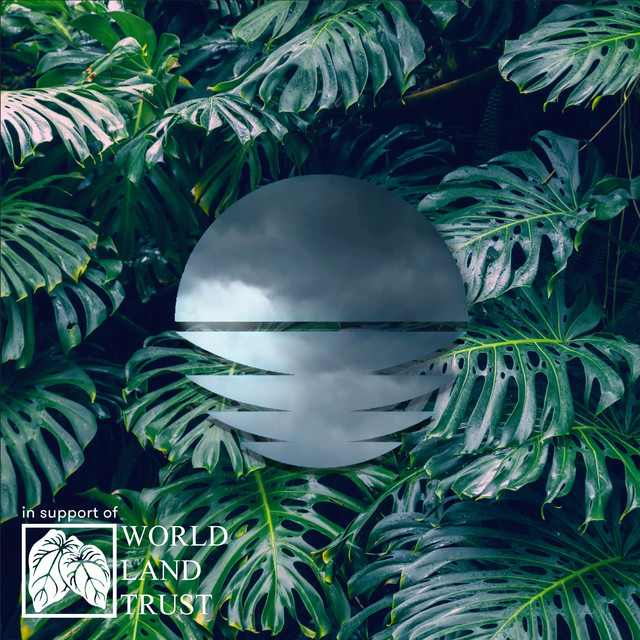 Maya Rainforest cover art