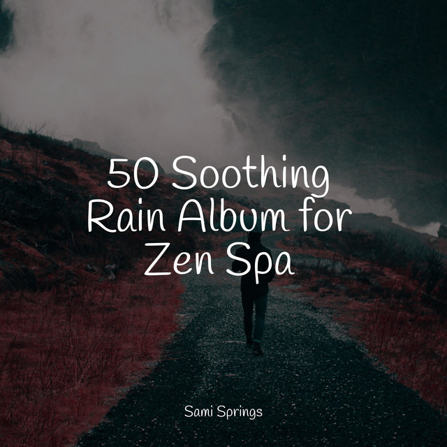50 Soothing Rain Album for Zen Spa - Album by Wellness | Spotify