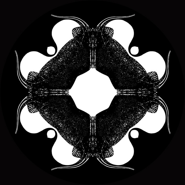 New State Of Consciousness
