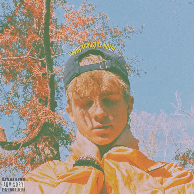 Happy Thoughtz Hotel cover art